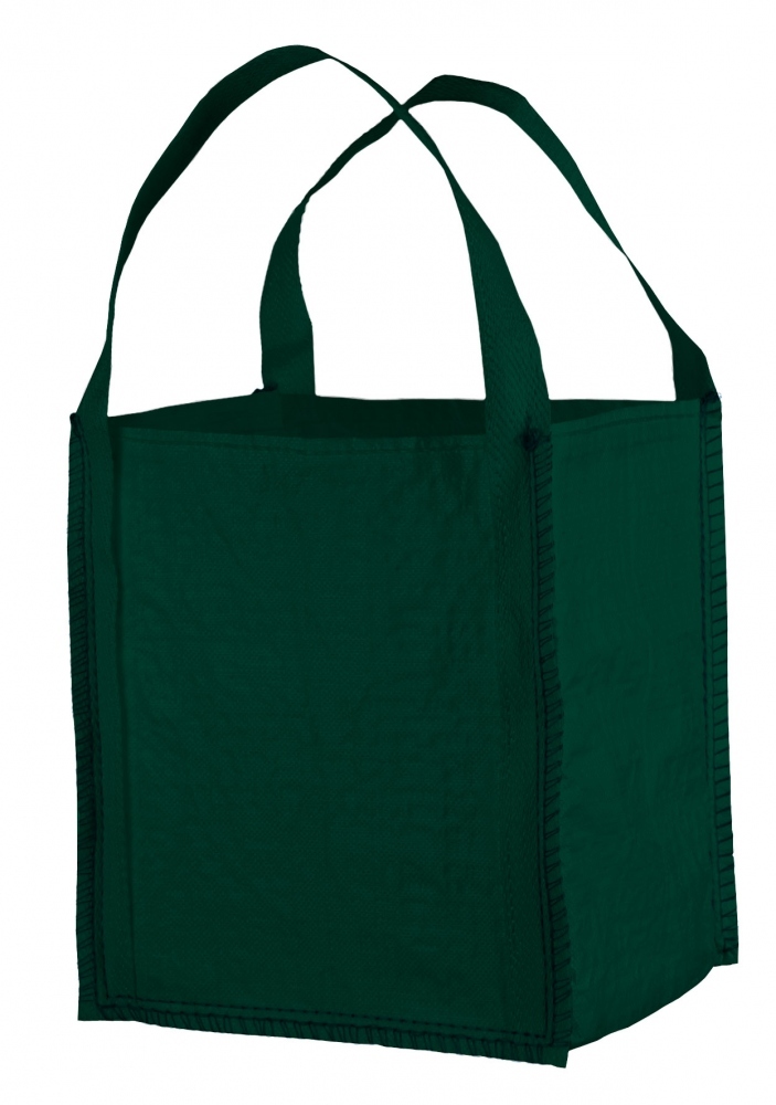 pics/Feldtmann/Big Bags/mini-bgg-bag-8469-40x40x45-cm-gruen-bis-300kg-72-literjpg.jpg